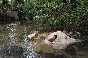 Heavy Monsoon Rain Causing Floods In Bangladesh