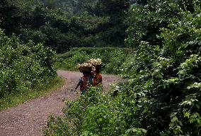 Dongria Kondh Tribes In India