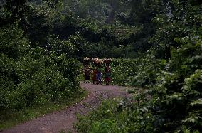 Dongria Kondh Tribes In India