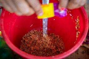 Street Food In Nepal