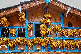 Sainji Village In Mussoorie