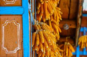 Sainji Village In Mussoorie