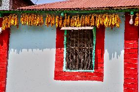 Sainji Village In Mussoorie