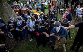 Protesters March Outside DNC in Chicago Against Gaza War