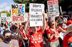 Protesters March Outside DNC in Chicago Against Gaza War