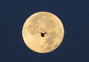 Full Supermoon Lights Up The Sky - Toronto