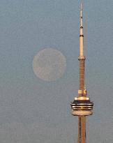 Full Supermoon Lights Up The Sky - Toronto