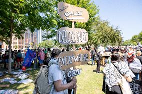 Protesters March Outside DNC in Chicago Against Gaza War