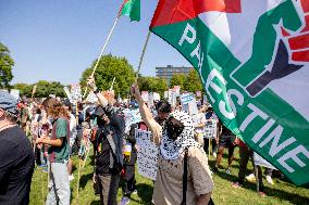 Protesters March Outside DNC in Chicago Against Gaza War