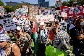 Protesters March Outside DNC in Chicago Against Gaza War