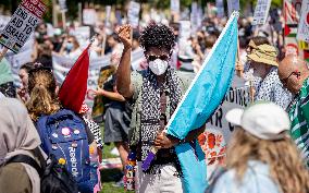 Protesters March Outside DNC in Chicago Against Gaza War