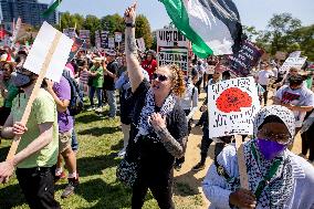 Protesters March Outside DNC in Chicago Against Gaza War