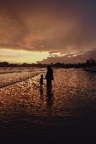 The Beach A Temporary Escape for Muslims - Sri Lanka