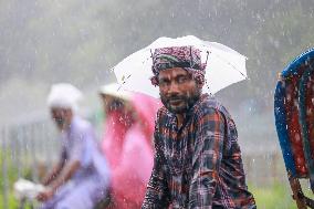 Heavy Rain Lashes Dhaka - Bangladesh