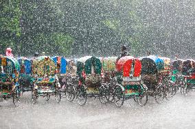 Heavy Rain Lashes Dhaka - Bangladesh