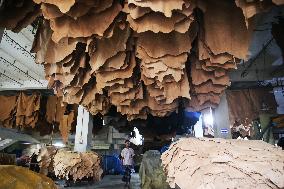 Tannery Factory - Dhaka