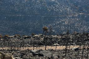 Aftermath From The Catastrophic Fire As Seen From The Mount Pentelicus.