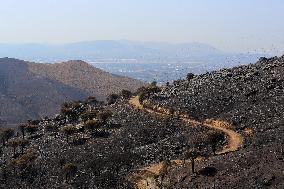 Aftermath From The Catastrophic Fire As Seen From The Mount Pentelicus.