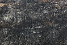 Aftermath From The Catastrophic Fire As Seen From The Mount Pentelicus.