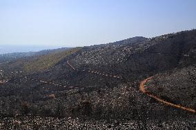 Aftermath From The Catastrophic Fire As Seen From The Mount Pentelicus.