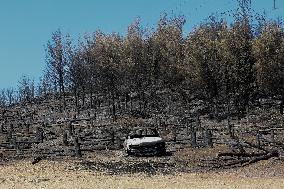 Aftermath From The Catastrophic Fire As Seen From The Mount Pentelicus.