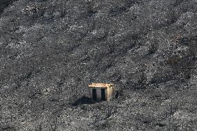 Aftermath From The Catastrophic Fire As Seen From The Mount Pentelicus.