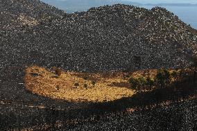 Aftermath From The Catastrophic Fire As Seen From The Mount Pentelicus.