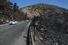 Aftermath From The Catastrophic Fire As Seen From The Mount Pentelicus.