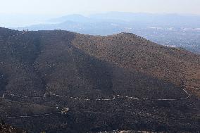 Aftermath From The Catastrophic Fire As Seen From The Mount Pentelicus.