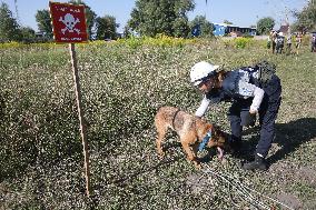 Launch of humanitarian demining project involving women canine handlers in Ukraine