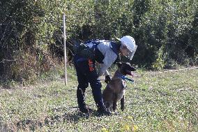 Launch of humanitarian demining project involving women canine handlers in Ukraine