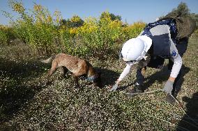 Launch of humanitarian demining project involving women canine handlers in Ukraine