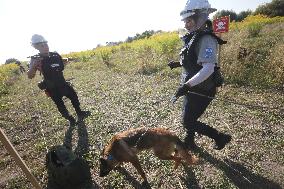 Launch of humanitarian demining project involving women canine handlers in Ukraine