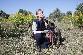 Launch of humanitarian demining project involving women canine handlers in Ukraine