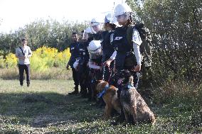 Launch of humanitarian demining project involving women canine handlers in Ukraine