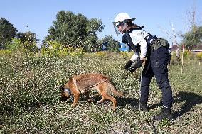 Launch of humanitarian demining project involving women canine handlers in Ukraine