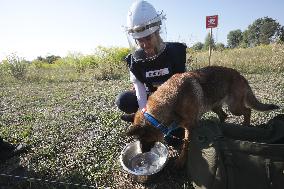 Launch of humanitarian demining project involving women canine handlers in Ukraine