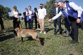 Launch of humanitarian demining project involving women canine handlers in Ukraine