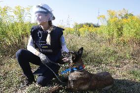 Launch of humanitarian demining project involving women canine handlers in Ukraine