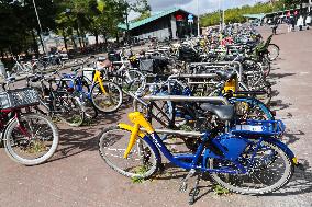 Daily Life In Amsterdam