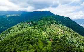 Drone View Of The Lush Greenery Hill In Nepal.