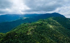 Drone View Of The Lush Greenery Hill In Nepal.