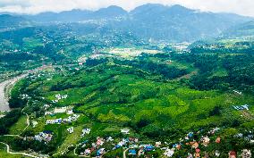 Drone View Of The Lush Greenery Hill In Nepal.