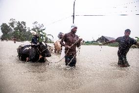 Flood In Bangladesh