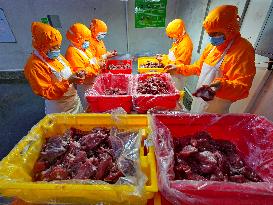 Meat Food Production in Suining