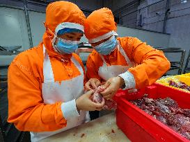 Meat Food Production in Suining