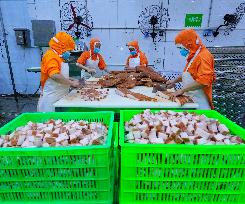 Meat Food Production in Suining