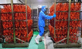 Meat Food Production in Suining