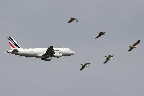 Diverse aircraft taking off