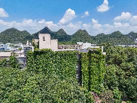 Creepers Occupy Library Wall at A University in Guiyang